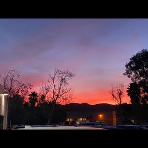 Meet your Posher, Lynn